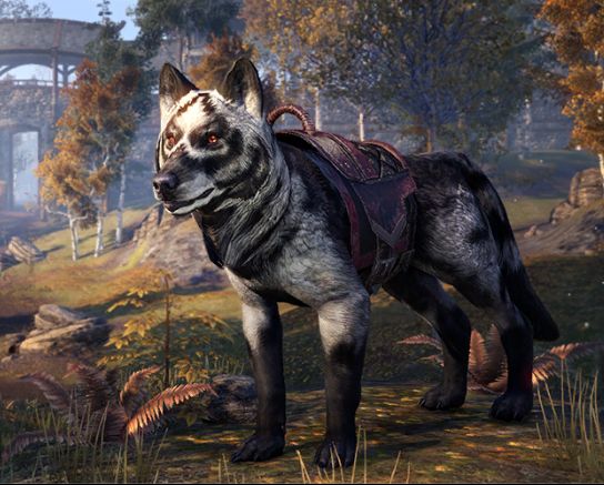 Файл:ON-mount-Shadowghost Wolf.jpg