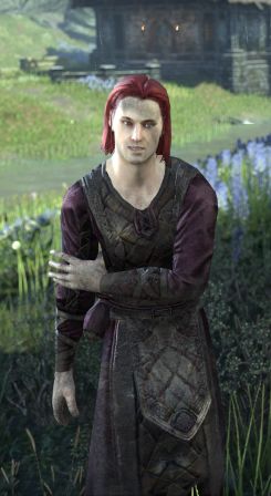 Файл:ON-npc-Brother Perry 01.jpg