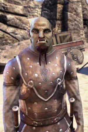 Файл:ON-npc-Grubby Grunyun.jpg
