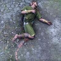 Файл:ON-npc-Councilor Sophus.jpg