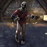 Файл:ON-npc-Grell Flan.jpg