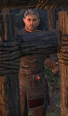 Файл:ON-npc-Brigadine Lieutenant Viria.jpg