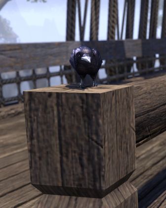 Файл:ON-npc-Strange Crow 03.jpg