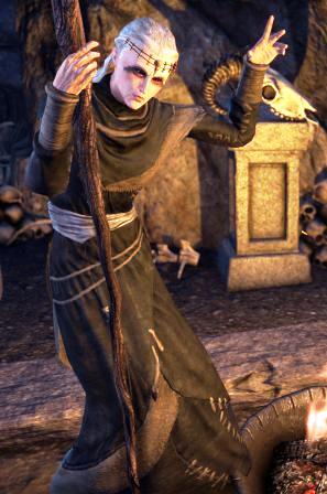 Файл:ON-npc-Witchmother Taerma.jpg