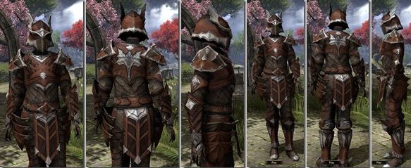 Файл:ON-item-armor-Rawhide-f-Ebonheart Pact.jpg