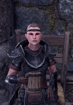 Файл:ON-npc-Shield-Captain Viglir.jpg