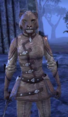 Файл:ON-npc-Scout Juluda-daro.jpg