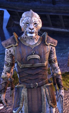 Файл:ON-npc-Quartermaster Oblan.jpg