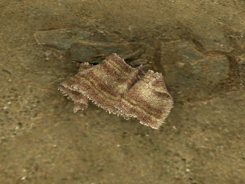 Файл:ON-node-Torn Cloth.jpg