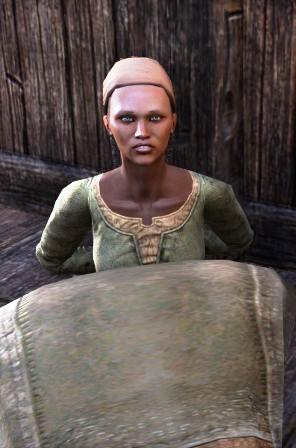 Файл:ON-npc-Envoy Darima.jpg