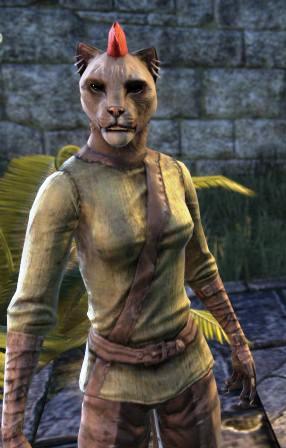 Файл:ON-npc-Kunira-daro.jpg