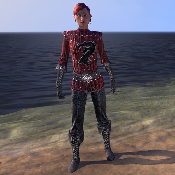 Файл:ON-costume-Alliance Rider Outfit (Pact female).jpg