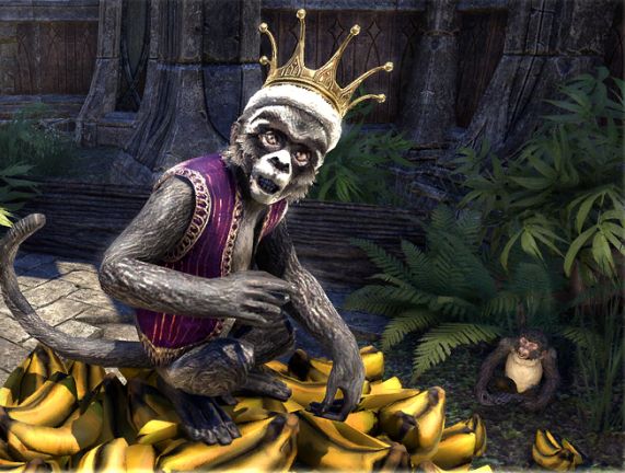 Файл:ON-pet-Madcap Jester Monkey.jpg