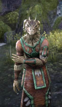 Файл:ON-npc-Инз-Хей 01.jpg