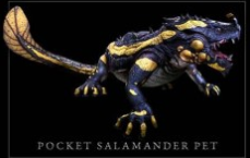 Файл:ON-prerelease-Pocket Salamander.png