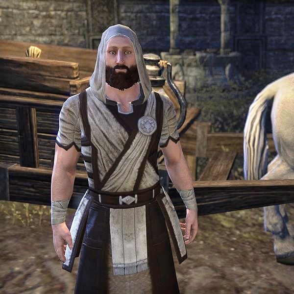 Файл:ON-npc-Star-Gazer Herald.jpg