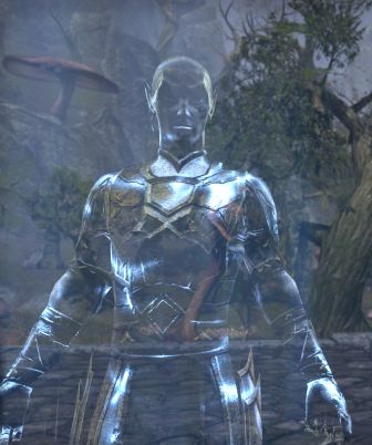 Файл:ON-npc-Vestige of Saint Veloth.jpg