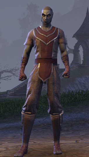 Файл:ON-item-disguises-Sea Drake Garb.jpg