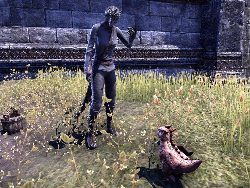 Файл:ON-quest-Guar Gone 02.jpg