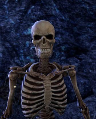 Файл:ON-npc-Bosun Bones.jpg