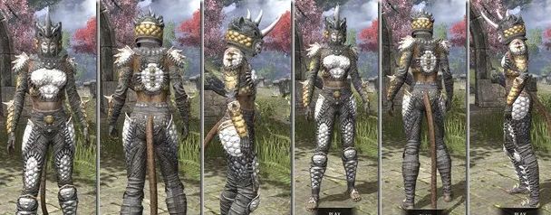 Файл:ON-item-armor-Iron-khaj-Dead-Water Style.jpg