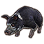 Файл:Psijic Domino Pig.png