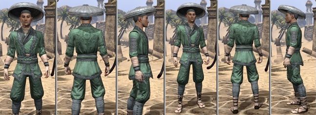 Файл:ON-item-armor-Homespun-m-Honor Guard Style.jpg