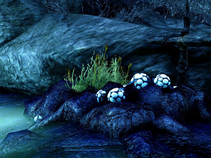 Файл:ON-item-quest-Poison's Sting 05.jpg