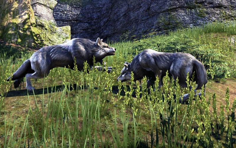 Файл:ON-quest-Stonetooth Bash 03.jpg