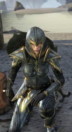 Файл:ON-npc-Captain Cularalda.jpg