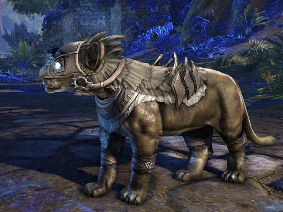 Файл:ON-pet-New Moon Senche Cub.jpg