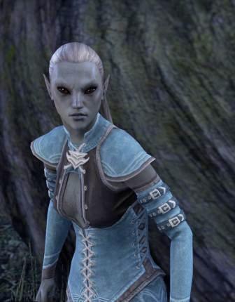 Файл:ON-npc-Varona Beloren.jpg