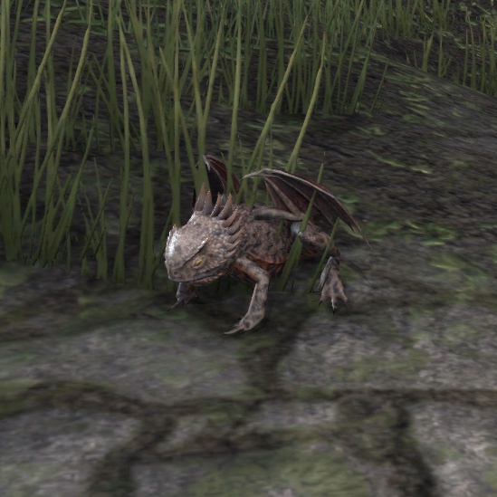 Файл:ON-pet-Kindlespit Dragon Frog.jpg