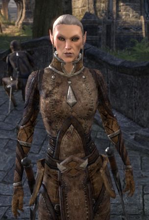 Файл:ON-npc-Scout Aldanya.jpg