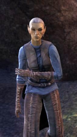 Файл:ON-npc-Captain Linwen.jpg