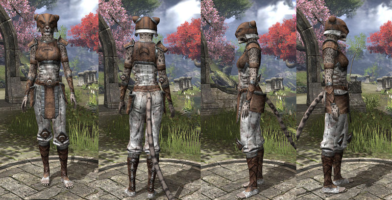 Файл:ON-item-armor-Rawhide-Khajiit-Female.jpg
