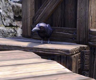 Файл:ON-npc-Strange Crow.jpg