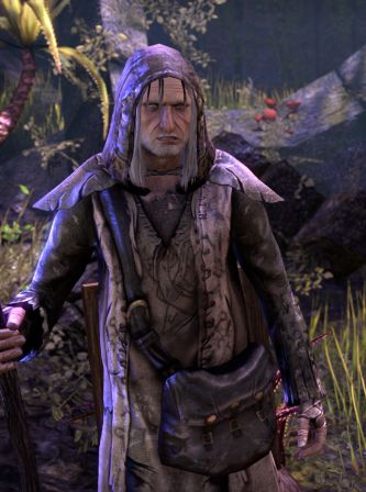 Файл:ON-npc-Varen Aquilarios 01.jpg