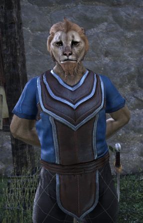 Файл:ON-quest-Guild Listings.jpg