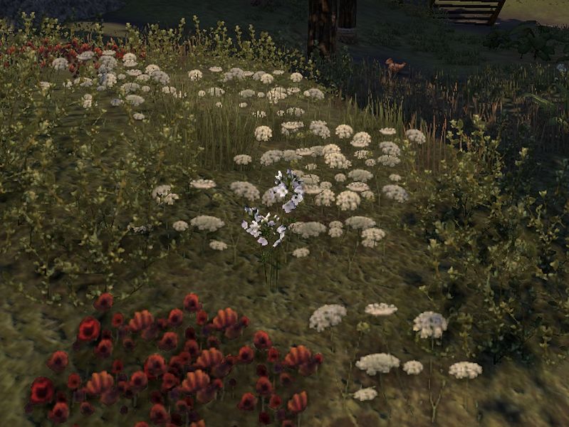 Файл:ON-node-Lady's Smock.jpg