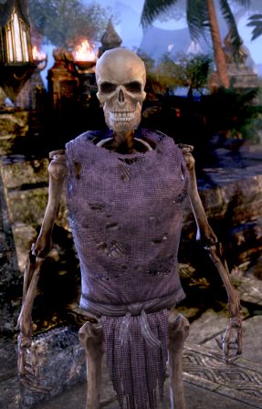 Файл:ON-npc-Skeleton.jpg