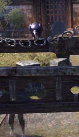 Файл:ON-npc-Strange Crow 01.jpg