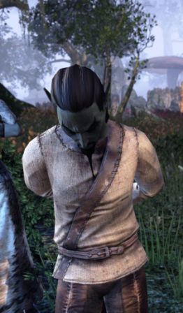 Файл:ON-npc-Raston Vendil.jpg