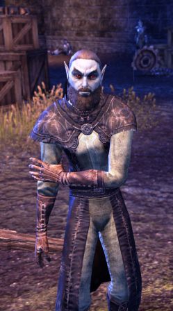 Файл:ON-npc-Caravan Master Girano.jpg