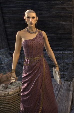 Файл:ON-npc-Steward Eminwe.jpg