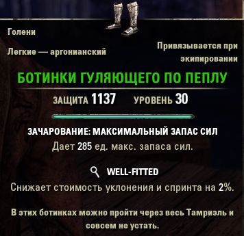 Файл:ON-item-Ashwalker's Boots.jpg