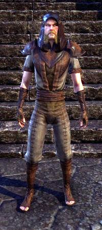 Файл:ON-item-Midnight Union Disguise.jpg