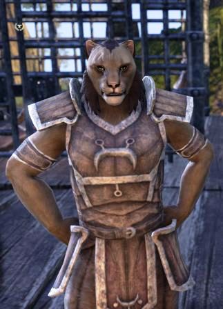 Файл:ON-npc-Captain Halakalal.jpg