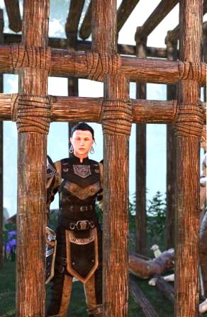 Файл:ON-npc-First Mate Veslyn.jpg