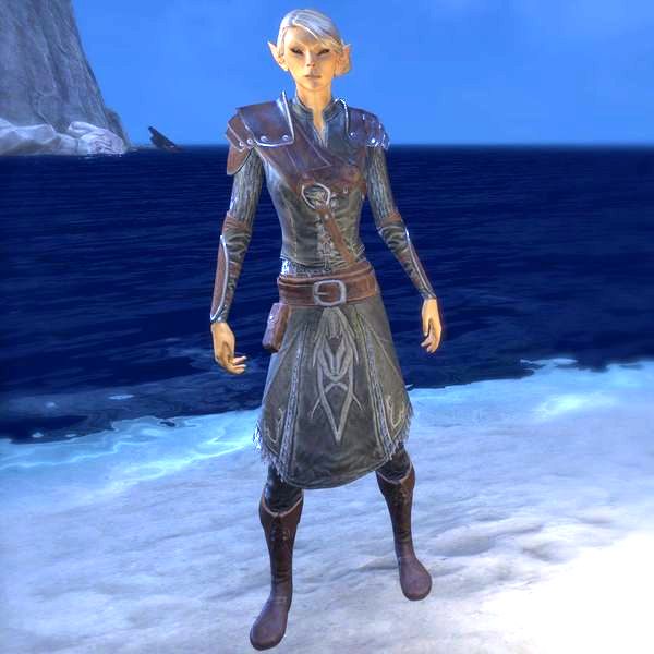 Файл:ON-costume-Austere Warden Outfit (female).jpg